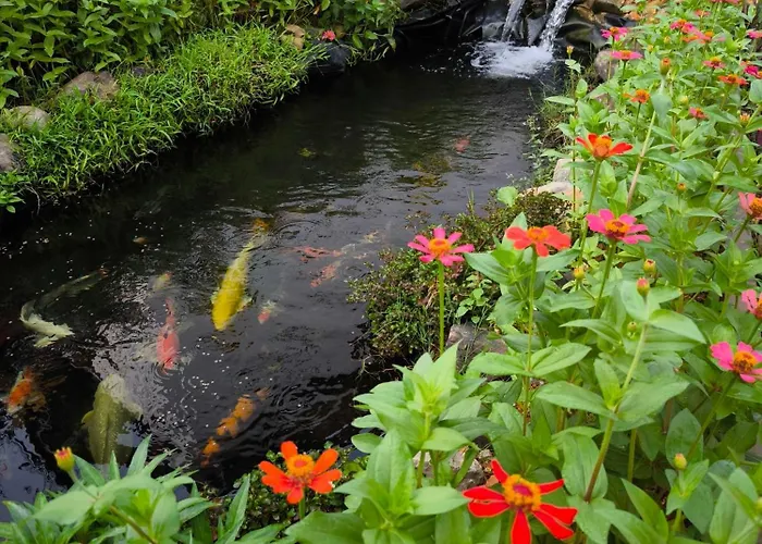 Dok Champa Vangvieng Resort